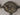 Ladies Vintage Orvin Watch - Le Vive Jewelry in Riverside